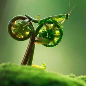 Meet your Posher, Teri